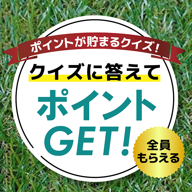 【ポイントが貯まる】新米クイズ